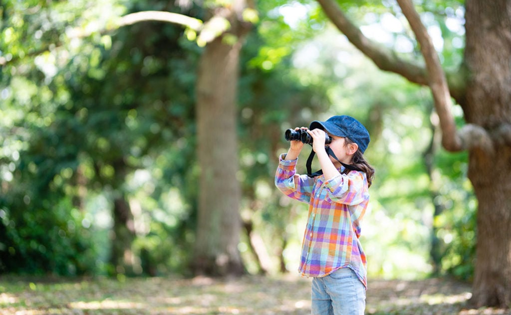 画像に alt 属性が指定されていません。ファイル名: activity-walk-1024x633.jpg